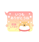 使える柴犬スタンプ -感謝・ありがとう-（個別スタンプ：10）