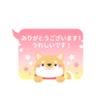 使える柴犬スタンプ -感謝・ありがとう-（個別スタンプ：20）