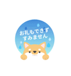使える柴犬スタンプ -感謝・ありがとう-（個別スタンプ：21）