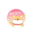 使える柴犬スタンプ -感謝・ありがとう-（個別スタンプ：24）