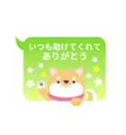 使える柴犬スタンプ -感謝・ありがとう-（個別スタンプ：27）