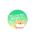 使える柴犬スタンプ -感謝・ありがとう-（個別スタンプ：30）