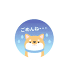 使える柴犬スタンプ -感謝・ありがとう-（個別スタンプ：31）