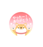 使える柴犬スタンプ -感謝・ありがとう-（個別スタンプ：33）