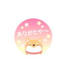 使える柴犬スタンプ -感謝・ありがとう-（個別スタンプ：34）