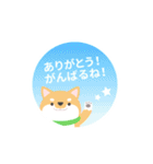 使える柴犬スタンプ -感謝・ありがとう-（個別スタンプ：35）