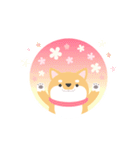 使える柴犬スタンプ -感謝・ありがとう-（個別スタンプ：36）