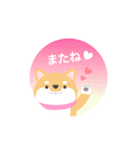 使える柴犬スタンプ -感謝・ありがとう-（個別スタンプ：40）