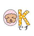 トイプードルこてつ君（個別スタンプ：1）