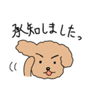 トイプードルこてつ君（個別スタンプ：2）