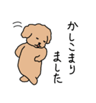 トイプードルこてつ君（個別スタンプ：3）