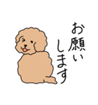 トイプードルこてつ君（個別スタンプ：4）