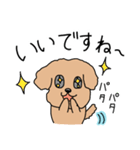 トイプードルこてつ君（個別スタンプ：5）