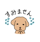 トイプードルこてつ君（個別スタンプ：7）