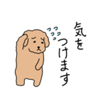 トイプードルこてつ君（個別スタンプ：8）