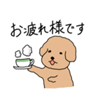 トイプードルこてつ君（個別スタンプ：11）