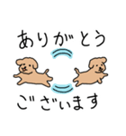 トイプードルこてつ君（個別スタンプ：12）