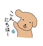 トイプードルこてつ君（個別スタンプ：15）