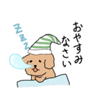 トイプードルこてつ君（個別スタンプ：17）