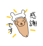 トイプードルこてつ君（個別スタンプ：19）