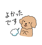 トイプードルこてつ君（個別スタンプ：21）