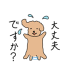 トイプードルこてつ君（個別スタンプ：23）