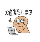トイプードルこてつ君（個別スタンプ：24）