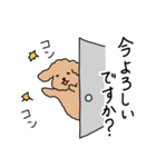 トイプードルこてつ君（個別スタンプ：25）