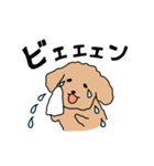 トイプードルこてつ君（個別スタンプ：29）