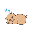トイプードルこてつ君（個別スタンプ：31）