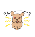 トイプードルこてつ君（個別スタンプ：32）