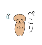 トイプードルこてつ君（個別スタンプ：34）