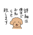 トイプードルこてつ君（個別スタンプ：38）
