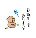 トイプードルこてつ君（個別スタンプ：39）