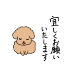 トイプードルこてつ君（個別スタンプ：40）