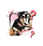 さっちゃん＆アーリー2（個別スタンプ：5）