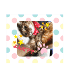 さっちゃん＆アーリー2（個別スタンプ：14）