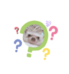 ハリネズミの日常言葉（個別スタンプ：8）