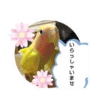 kawafamily番外編2（個別スタンプ：8）