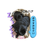 kawafamily番外編2（個別スタンプ：12）