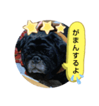 kawafamily番外編2（個別スタンプ：13）