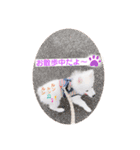 日本スピッツ ぽんぷ（個別スタンプ：5）