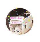 日本スピッツ ぽんぷ（個別スタンプ：10）