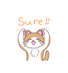 茶白ねこちゃんきなこ（個別スタンプ：13）