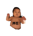我が家のもんちゃん1（個別スタンプ：1）