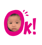 我が家のもんちゃん1（個別スタンプ：6）