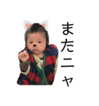 我が家のもんちゃん1（個別スタンプ：8）