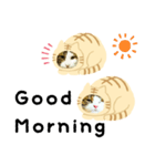 猫のタビッチ！ 猫着ぐるみ猫 (英語)（個別スタンプ：1）