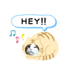 猫のタビッチ！ 猫着ぐるみ猫 (英語)（個別スタンプ：3）