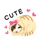 猫のタビッチ！ 猫着ぐるみ猫 (英語)（個別スタンプ：6）